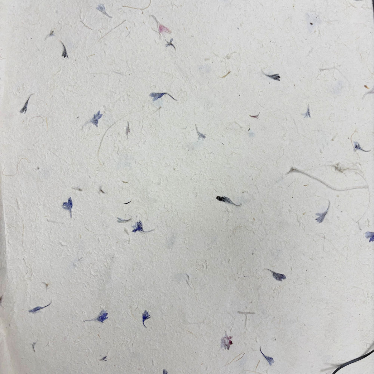 Textured white paper with small blue floral patterns