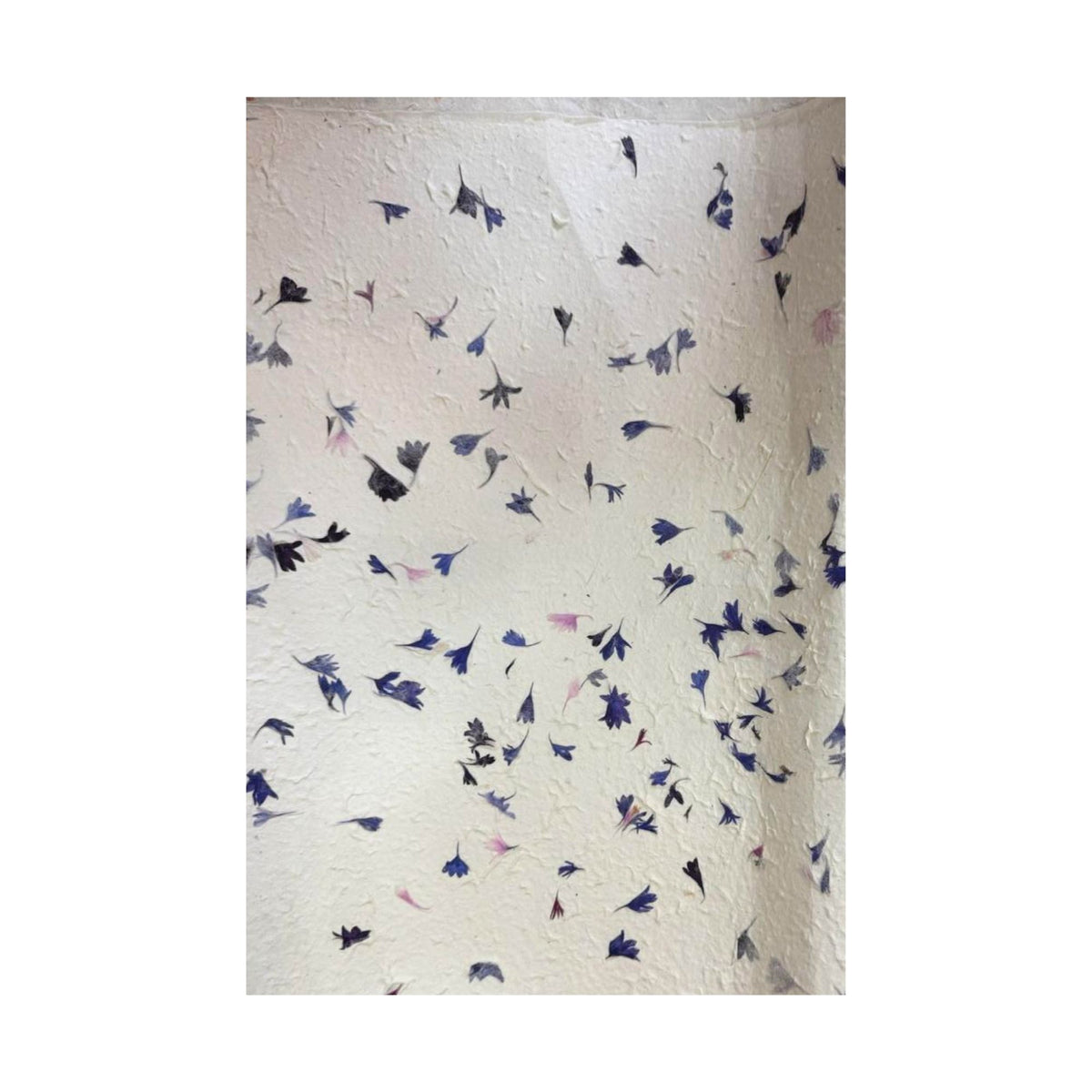 Floral patterned gift wrap with small blue and purple flowers on a white background