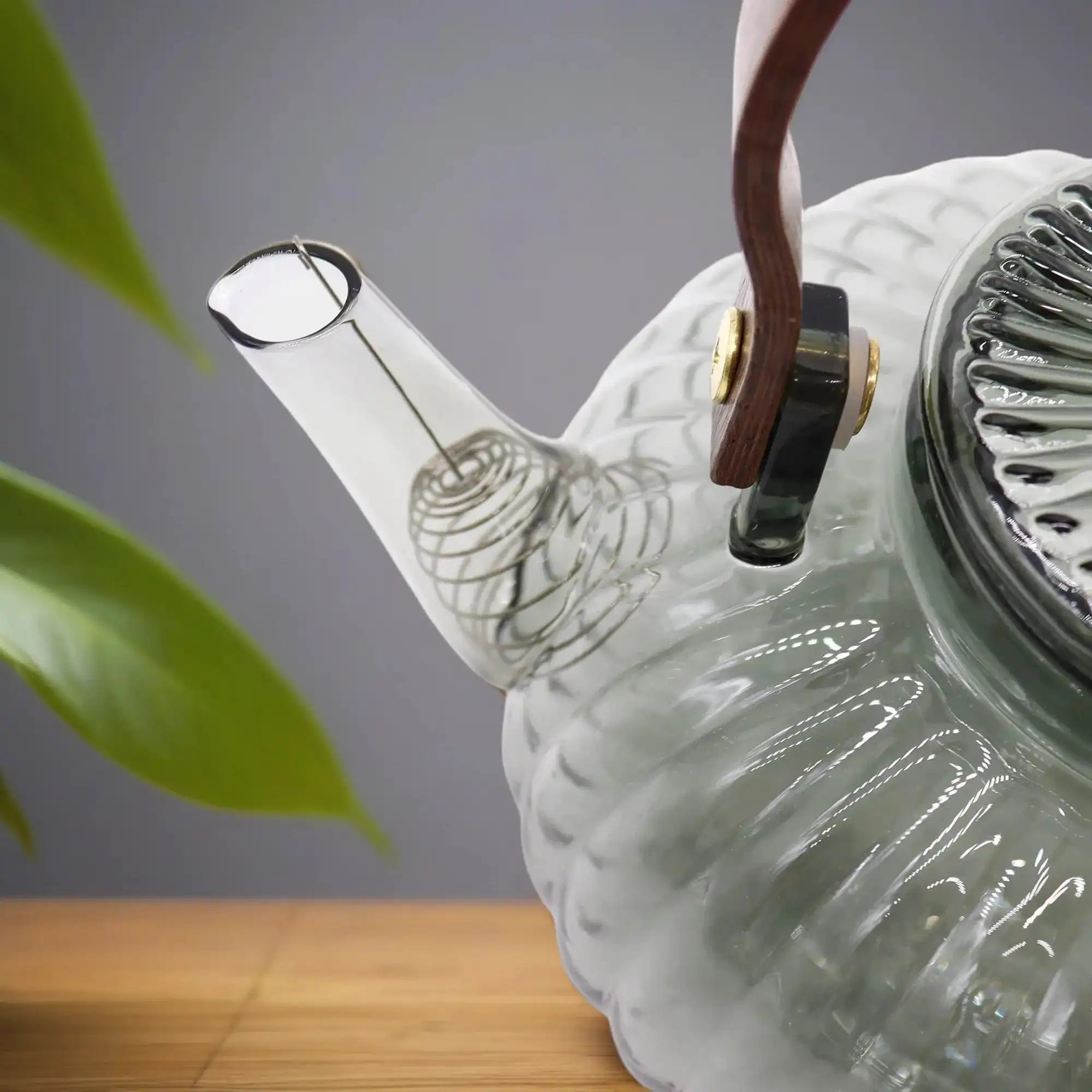 Ancient Wisdom Glass Infuser Teapot - 950ml - Stovetop Safe - BPA Free Home & Garden > Kitchen & Dining > Tableware > Coffee Servers & Tea Pots - Teapots > Glass Infuser Teapots > Herbal Tea Makers > Steel and Glass Teapots emmy-jane-boutique.myshopify.com