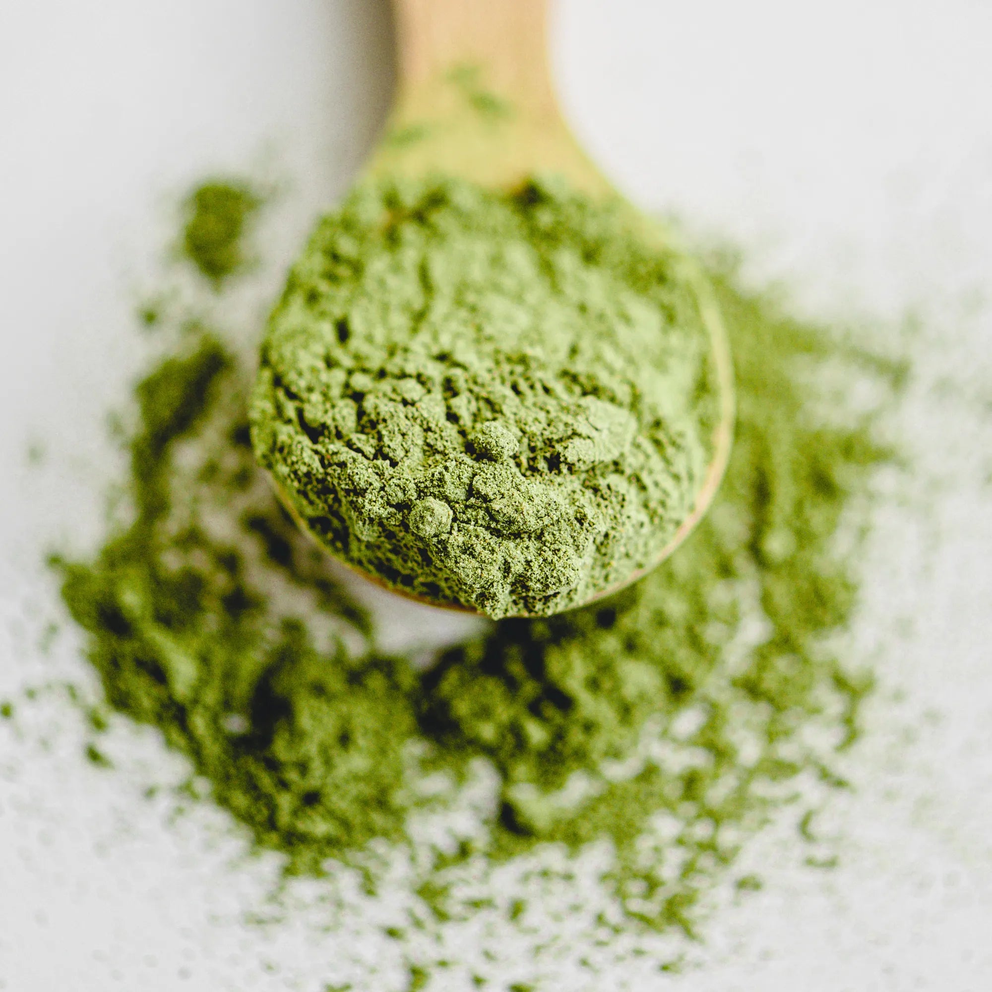 Ancient Wisdom Organic Matcha Tea - Ceremonial & Culinary Food, Beverages & Tobacco > Beverages > Tea & Infusions > Herbal Teas > Organic Matcha Tea > Ceremonial & Culinary Matcha Tea emmy-jane-boutique.myshopify.com