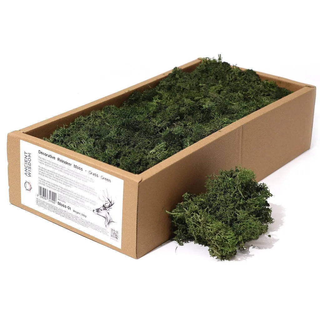 Ancient Wisdom Decorative Moss - Natural Colours - Reindeer Moss Home & Garden > Decor > Vase Fillers & Table Scatters > Decorative Moss Natural Colours > Moss for TerrariumsReindeer Moss emmy-jane-boutique.myshopify.com