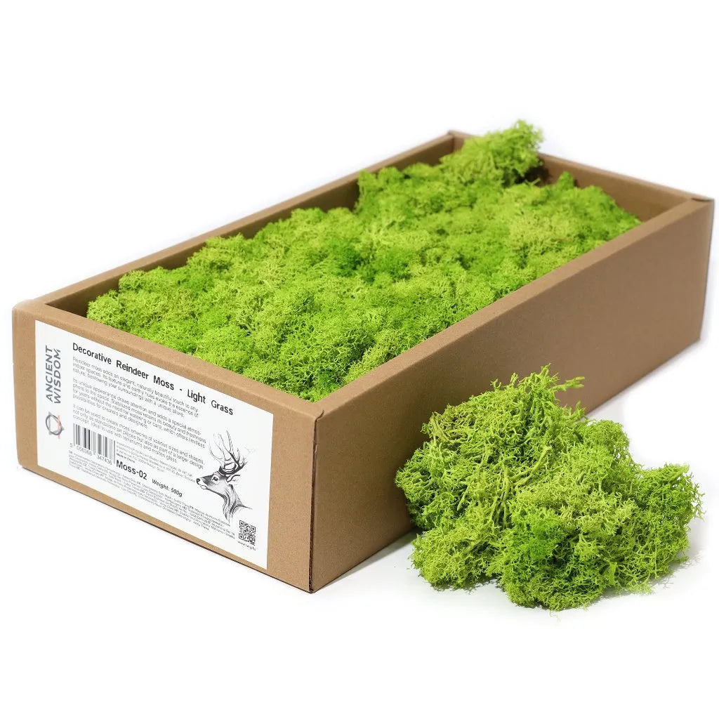 Ancient Wisdom Decorative Moss - Natural Colours - Reindeer Moss Home & Garden > Decor > Vase Fillers & Table Scatters > Decorative Moss Natural Colours > Moss for TerrariumsReindeer Moss emmy-jane-boutique.myshopify.com