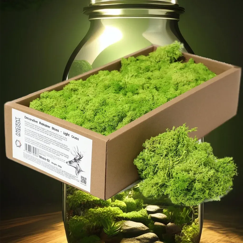 Ancient Wisdom Decorative Moss - Natural Colours - Reindeer Moss Home & Garden > Decor > Vase Fillers & Table Scatters > Decorative Moss Natural Colours > Moss for TerrariumsReindeer Moss emmy-jane-boutique.myshopify.com