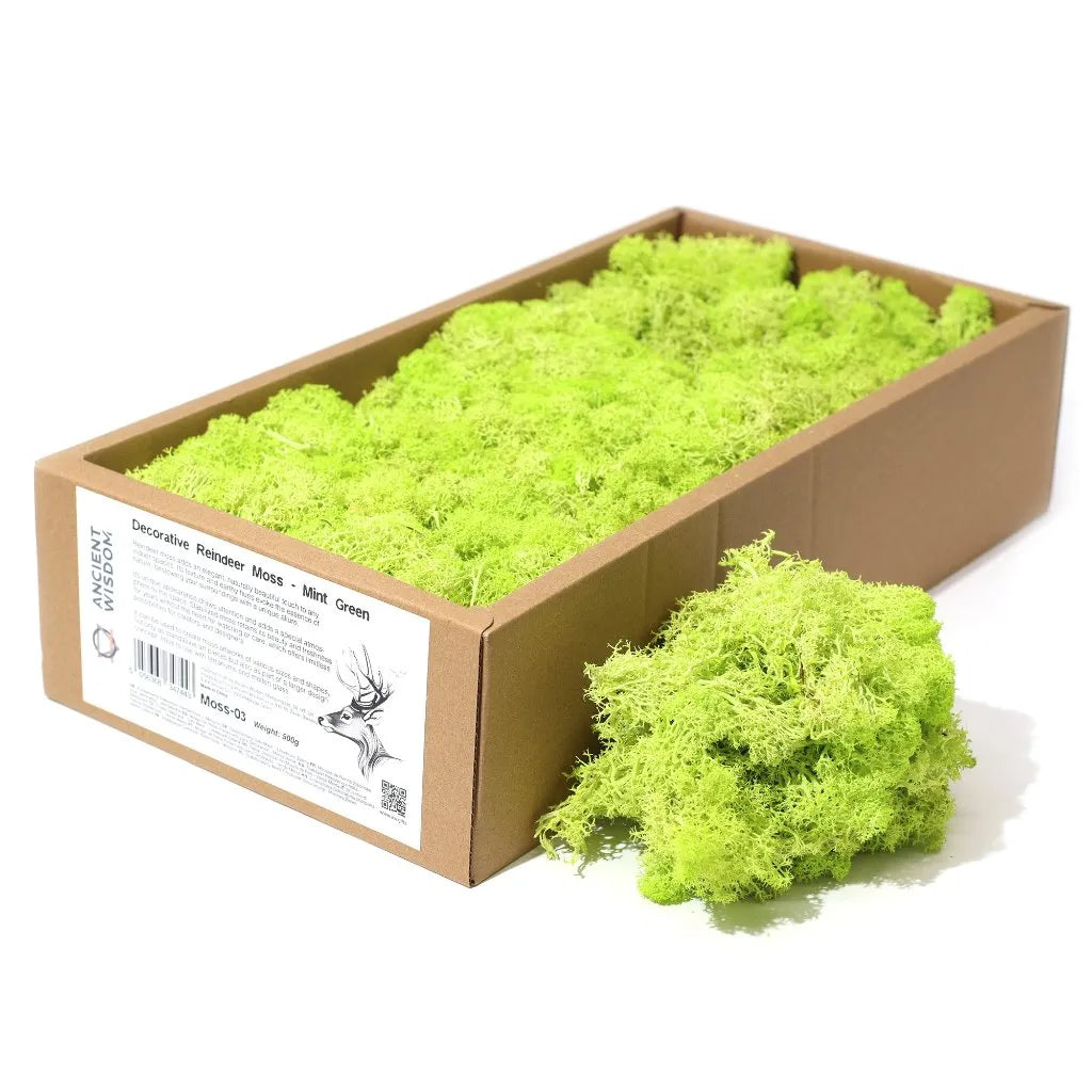 Ancient Wisdom Decorative Moss - Natural Colours - Reindeer Moss Home & Garden > Decor > Vase Fillers & Table Scatters > Decorative Moss Natural Colours > Moss for TerrariumsReindeer Moss emmy-jane-boutique.myshopify.com