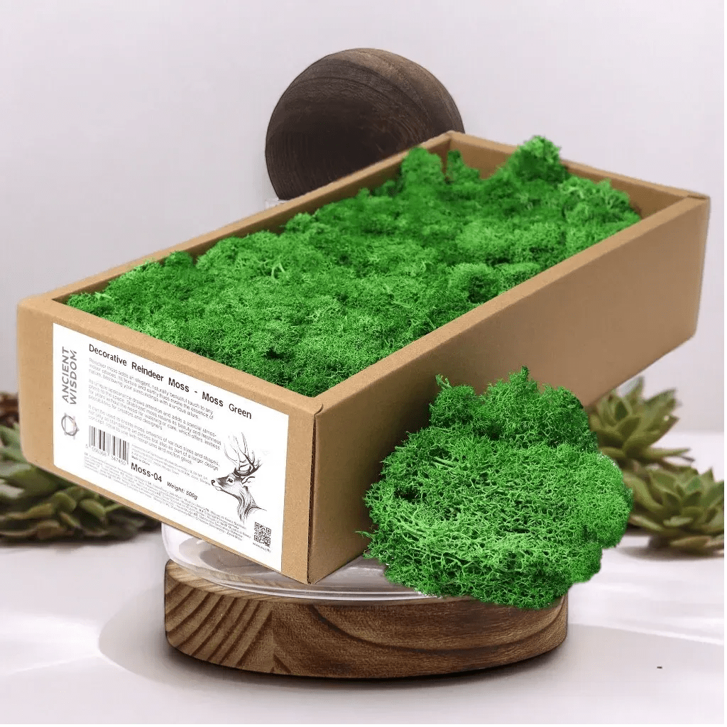 Ancient Wisdom Decorative Moss - Natural Colours - Reindeer Moss Home & Garden > Decor > Vase Fillers & Table Scatters > Decorative Moss Natural Colours > Moss for TerrariumsReindeer Moss emmy-jane-boutique.myshopify.com