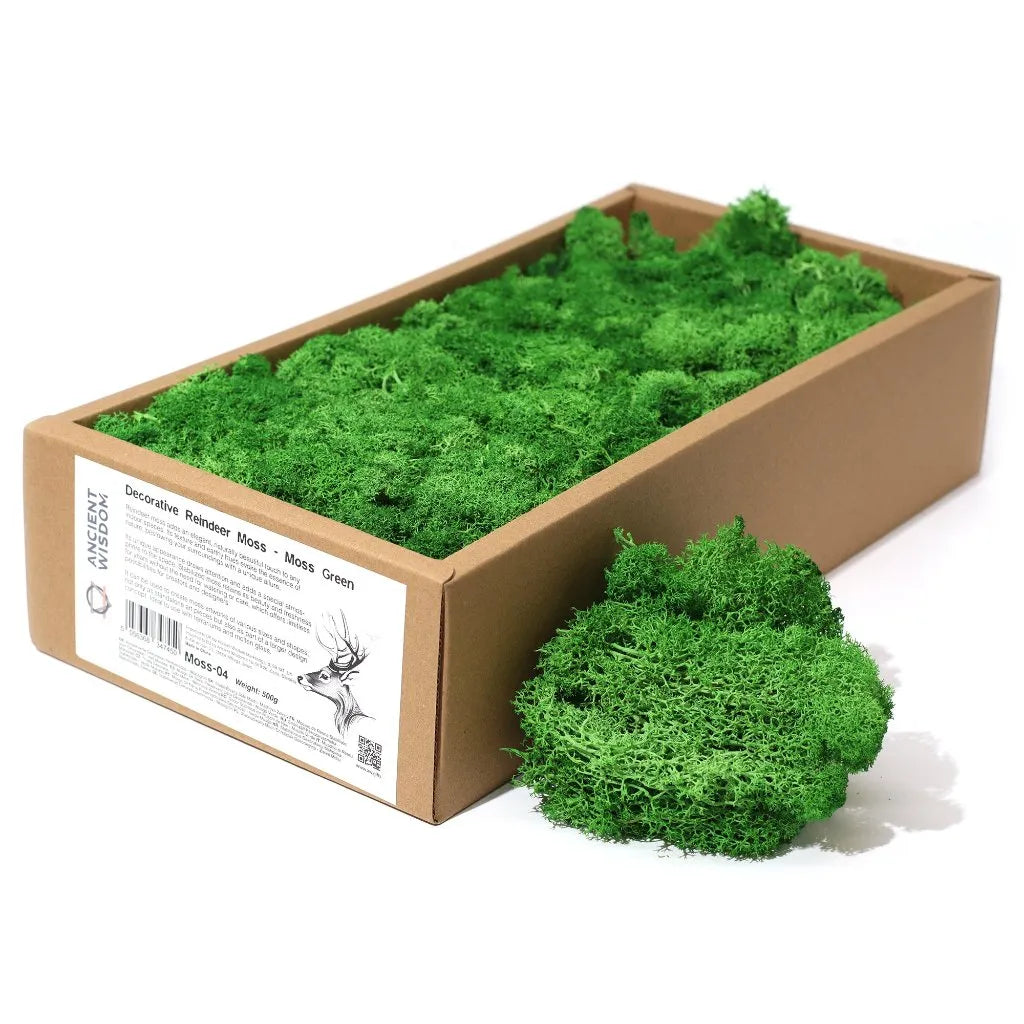Ancient Wisdom Decorative Moss - Natural Colours - Reindeer Moss Home & Garden > Decor > Vase Fillers & Table Scatters > Decorative Moss Natural Colours > Moss for TerrariumsReindeer Moss emmy-jane-boutique.myshopify.com