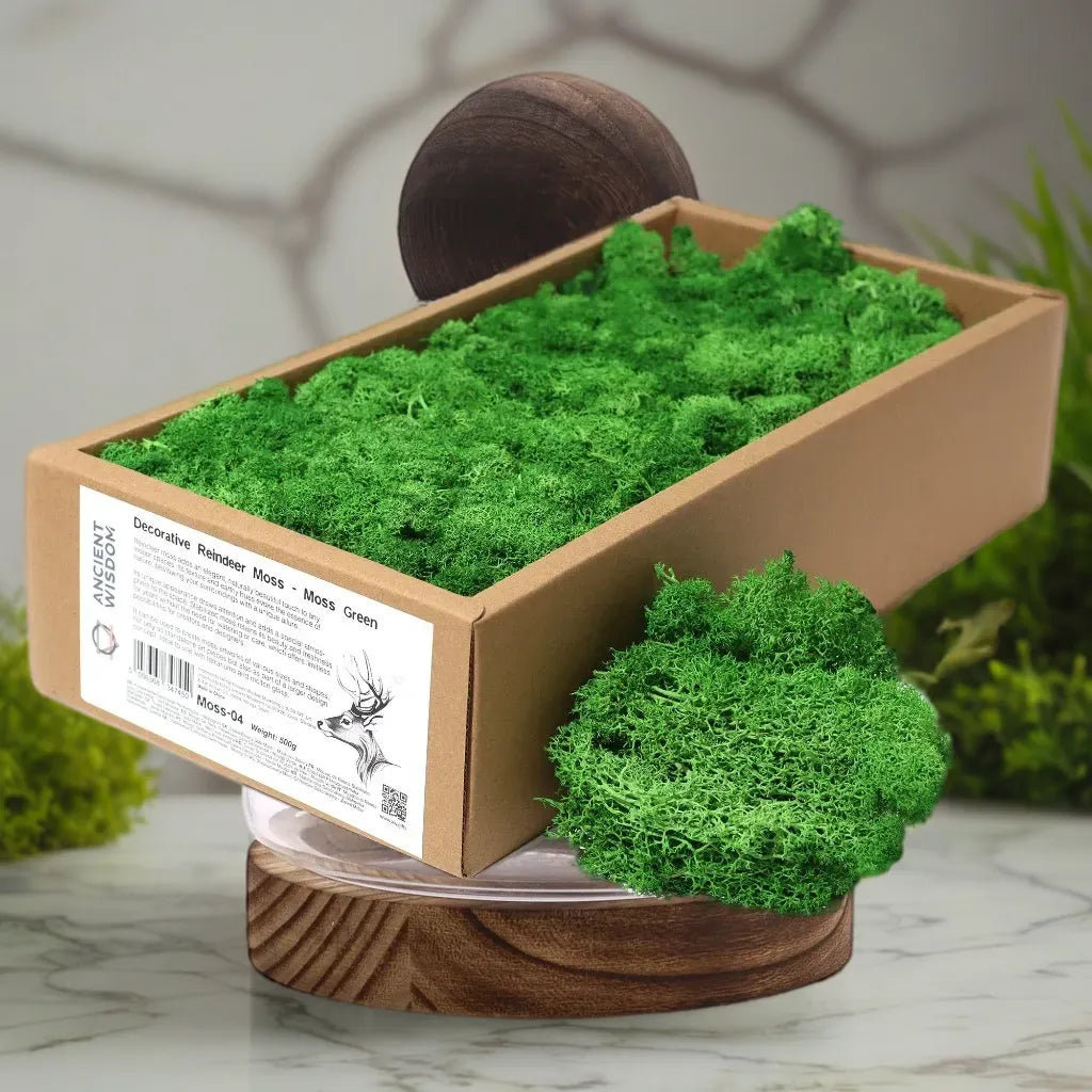 Ancient Wisdom Decorative Moss - Natural Colours - Reindeer Moss Home & Garden > Decor > Vase Fillers & Table Scatters > Decorative Moss Natural Colours > Moss for TerrariumsReindeer Moss emmy-jane-boutique.myshopify.com