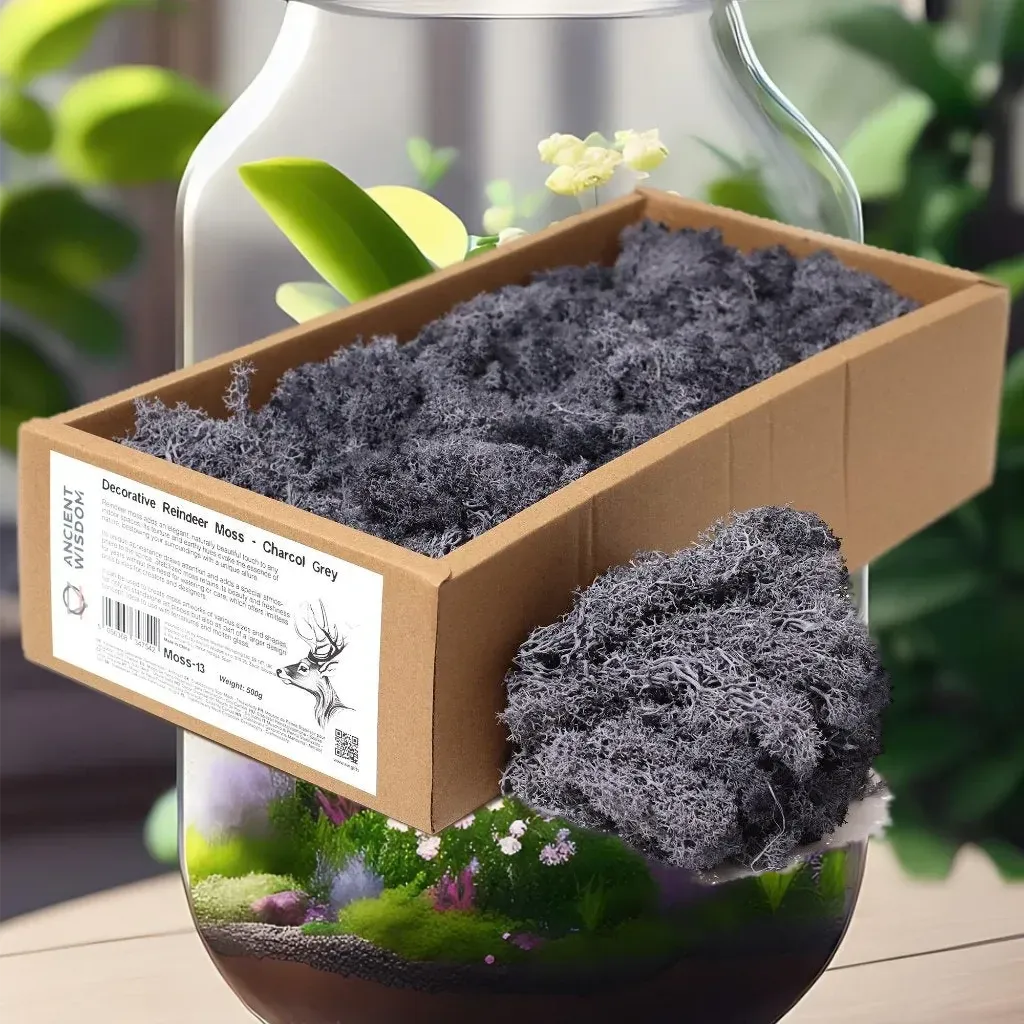 Ancient Wisdom Decorative Moss - Natural Colours - Reindeer Moss Home & Garden > Decor > Vase Fillers & Table Scatters > Decorative Moss Natural Colours > Moss for TerrariumsReindeer Moss emmy-jane-boutique.myshopify.com