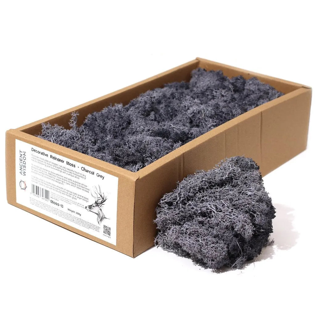 Ancient Wisdom Decorative Moss - Natural Colours - Reindeer Moss Home & Garden > Decor > Vase Fillers & Table Scatters > Decorative Moss Natural Colours > Moss for TerrariumsReindeer Moss emmy-jane-boutique.myshopify.com