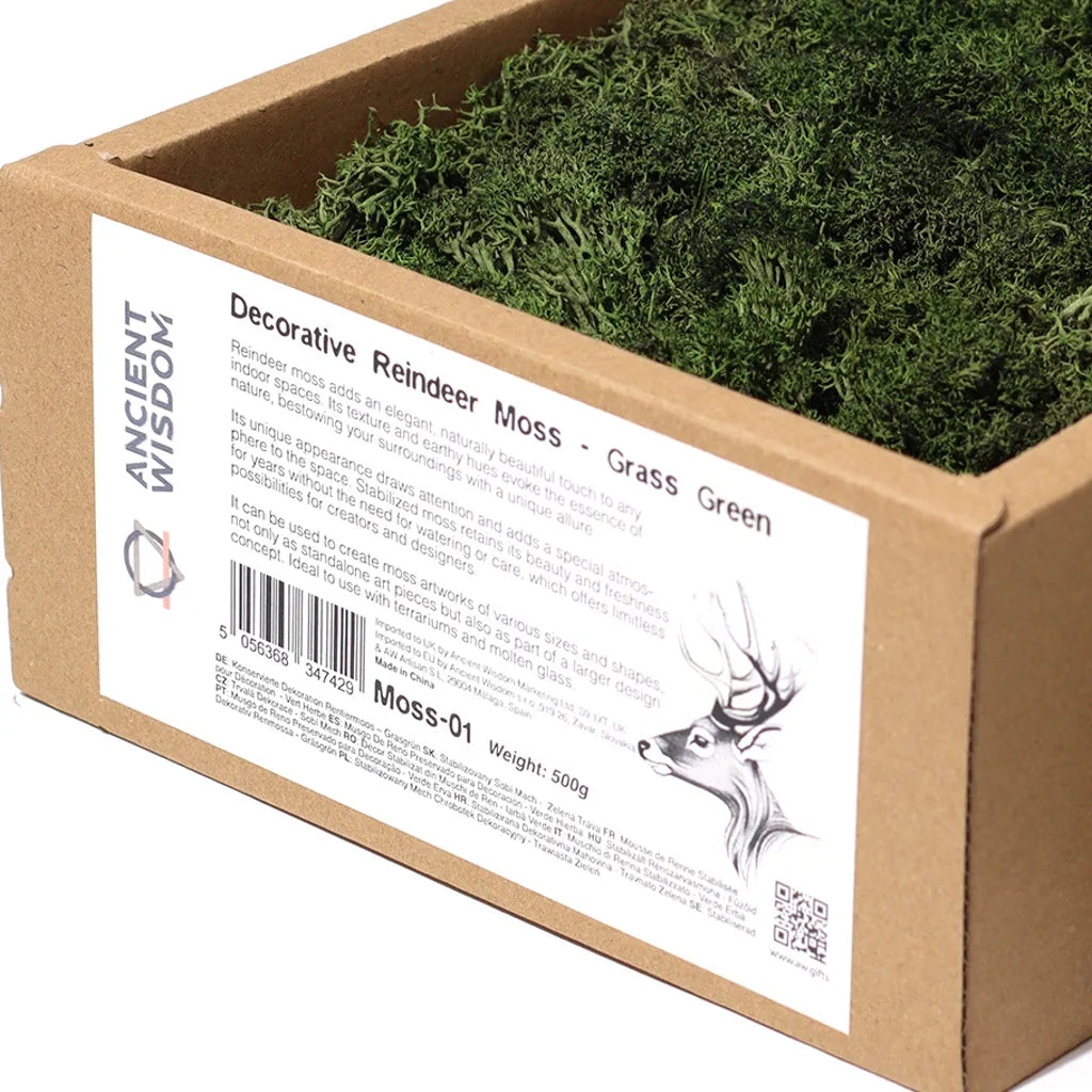 Ancient Wisdom Decorative Moss - Natural Colours - Reindeer Moss Home & Garden > Decor > Vase Fillers & Table Scatters > Decorative Moss Natural Colours > Moss for TerrariumsReindeer Moss emmy-jane-boutique.myshopify.com