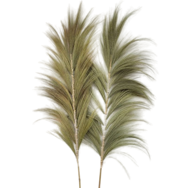 Emmy Jane Boutique Rayung Pampas Natural Dried Grass Decor - Pack Of 3 - 2 Sizes 6 Colours