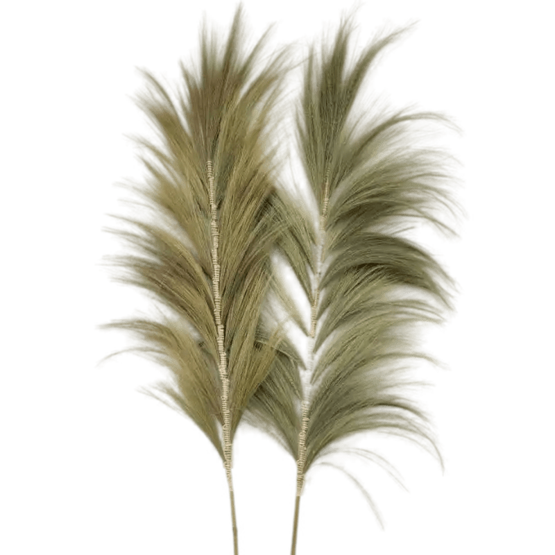 AW Home Rayung Pampas Natural Dried Grass Decor - Pack Of 3 - 2 Sizes 6 Colours Home & Garden > Decor > Dried Flowers > Dried Grasses > Rayung Pampas Natural Dried Grass Decor emmy-jane-boutique.myshopify.com