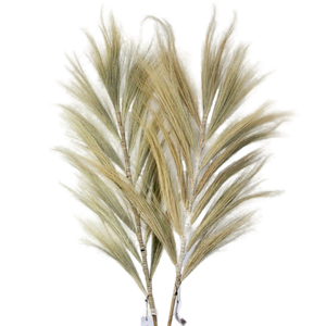 Emmy Jane Boutique Rayung Pampas Natural Dried Grass Decor - Pack Of 3 - 2 Sizes 6 Colours