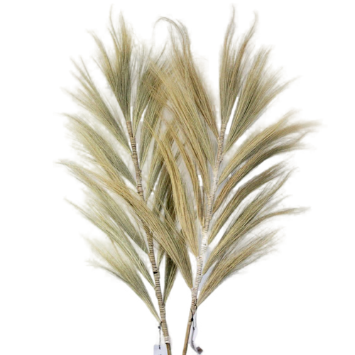 Emmy Jane Boutique Rayung Pampas Natural Dried Grass Decor - Pack Of 3 - 2 Sizes 6 Colours