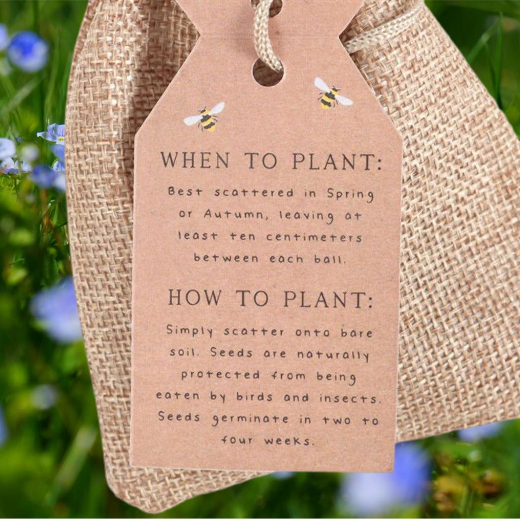 Emmy Jane -Wildflower Seed Ball Gift - 24 Garden Seed Balls in a Gift Bag - Bee Mix. Bring outdoor spaces to life and let garden wildlife thrive with this bag of 24 seed balls. Simply scatter onto bare soil or compost, water occasionally, and wait for your wildflowers to sprout! Perfect as standalone gifts to brighten someone's day or great as favours for special occasions such as weddings.