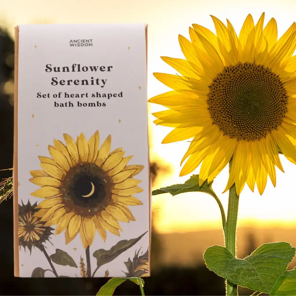 Ancient Wisdom Bath Bombs Gift Sets - Heart Bathbombs - Romantic Gift Sets Health & Beauty > Personal Care > Cosmetics > Bath & Body Gift Sets > Bath Bomb Gift Sets > Heart Bathbombs > Romantic Gift Sets emmy-jane-boutique.myshopify.com