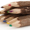Natural Twig Pencils - Set of 10 - Coloured Wooden Pencils for Kids