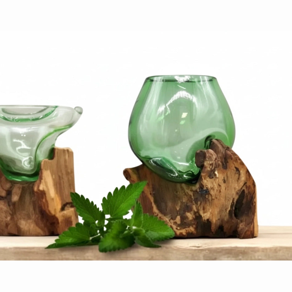 AW Home Green Glass Bowl - Recycled Beer Bottles Molton Glass on a Sustainable Wood Base Home & Garden > Decor > Decorative Bowls > Green Glass Bowl > Recycled Beer Bottles Molton Glass on a Sustainable Wood Base Bowls emmy-jane-boutique.myshopify.com