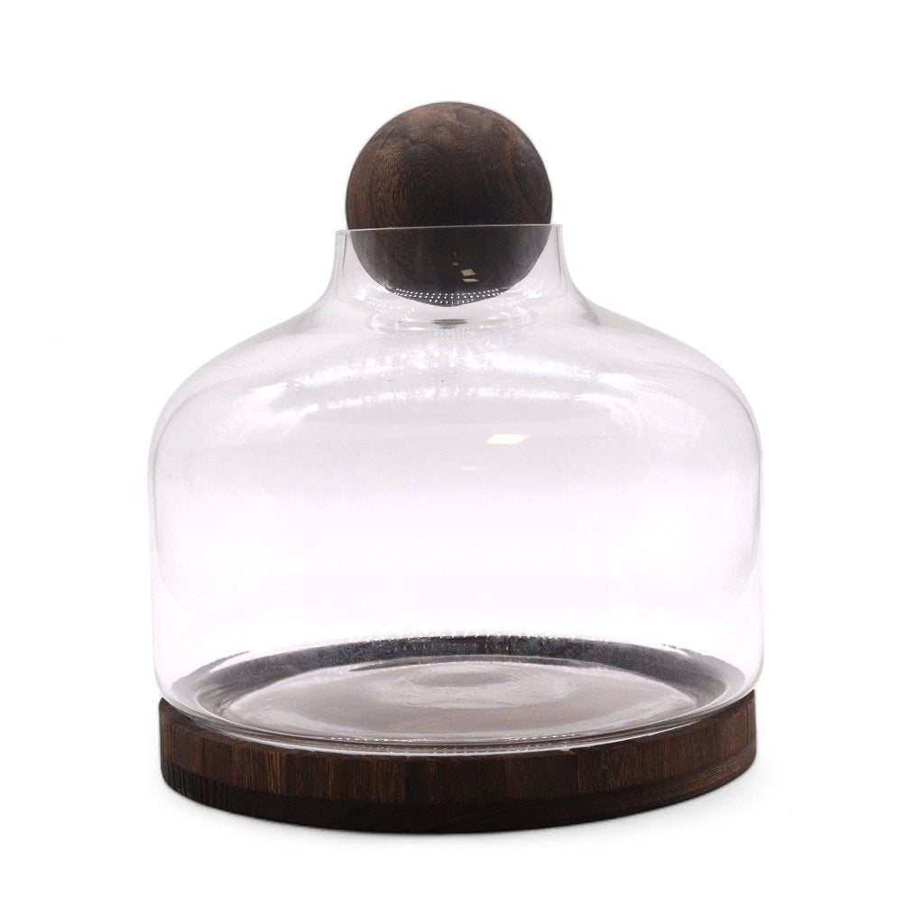 Glass Terrariums on Dark Tung Wood Ball Top