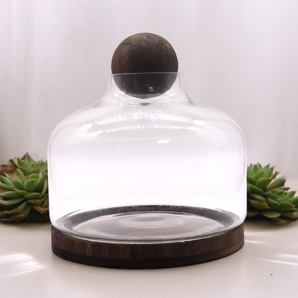 Glass Terrariums on Dark Tung Wood Ball Top