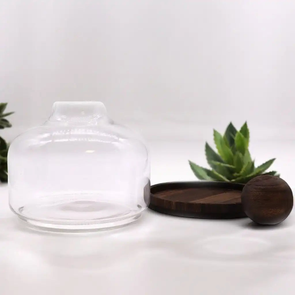 Ancient Wisdom Glass Terrariums on Dark Tung Wood Ball Top Home & Garden > Decor > Vases > Glass Vases > Glass Terrariums on Dark Tung Wood Ball Top emmy-jane-boutique.myshopify.com