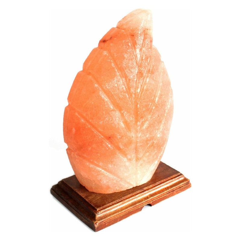 Emmy Jane Boutique Natural Himalayan Crystal Salt Lamp - Fern Leaf Shape
