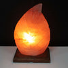 Emmy Jane Boutique Natural Himalayan Crystal Salt Lamp - Fern Leaf Shape