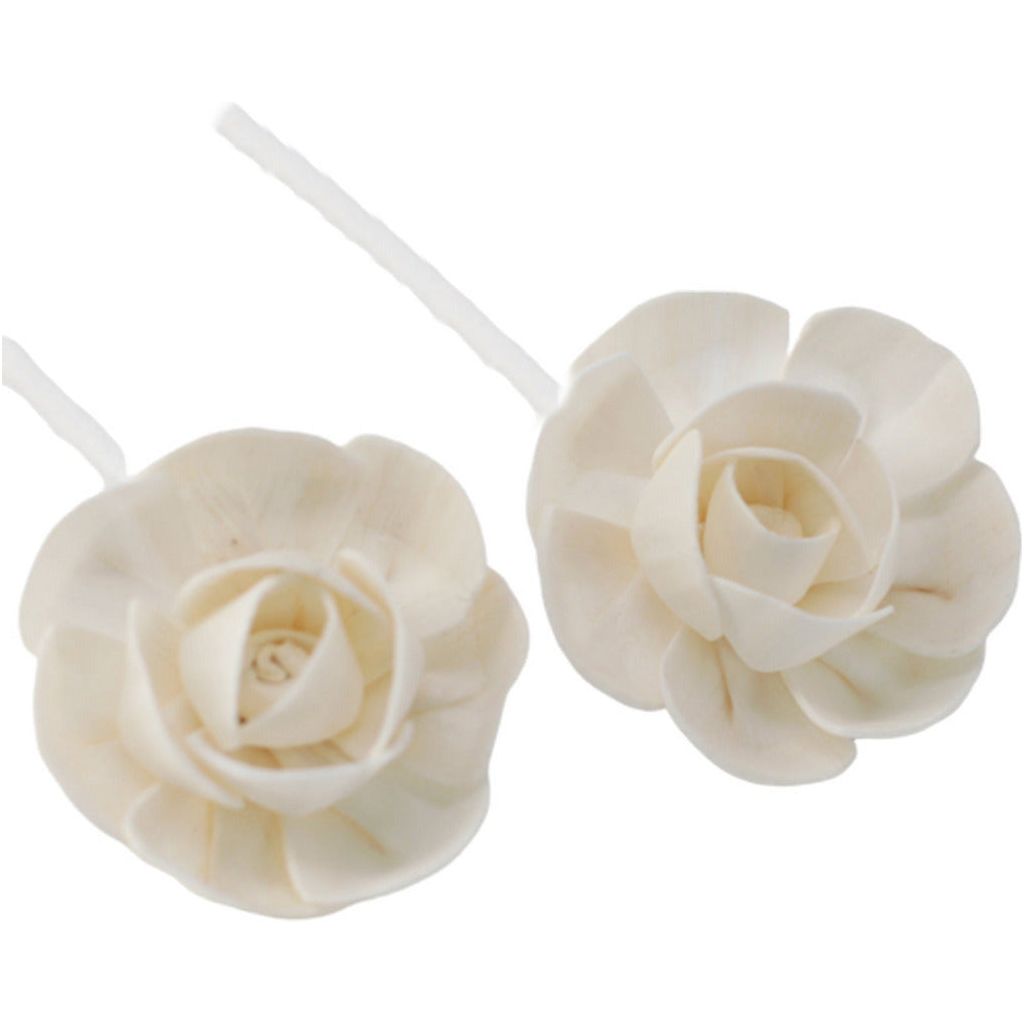 Emmy Jane Boutique Natural Diffuser Flowers - Handmade from Sola Wood - Pack of 12