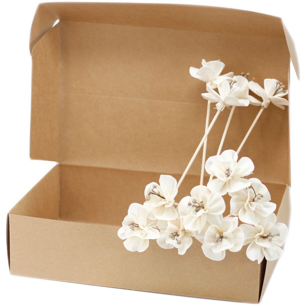 Emmy Jane Boutique Natural Diffuser Flowers - Handmade from Sola Wood - Pack of 12