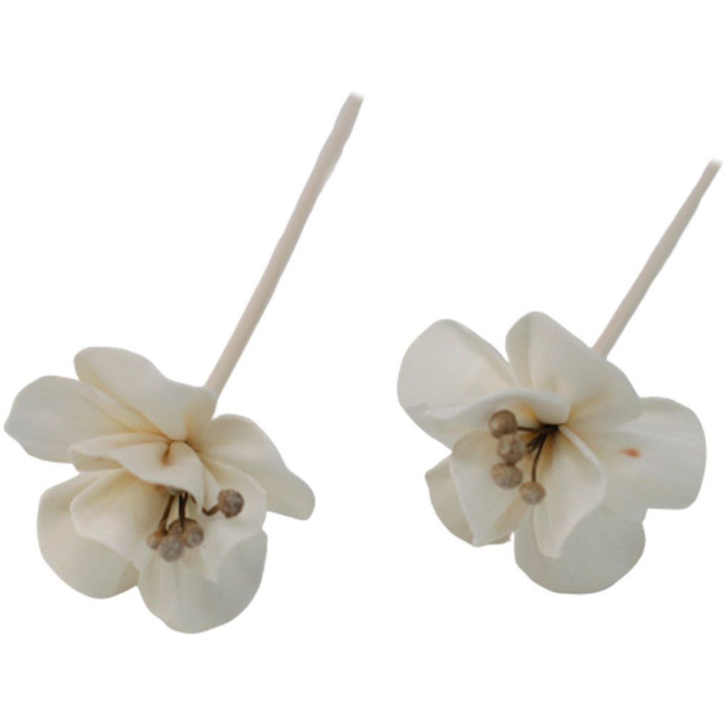 Emmy Jane Boutique Natural Diffuser Flowers - Handmade from Sola Wood - Pack of 12