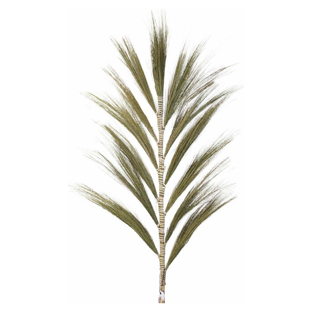 Emmy Jane Boutique Rayung Pampas Natural Dried Grass Decor - Pack Of 3 - 2 Sizes 6 Colours