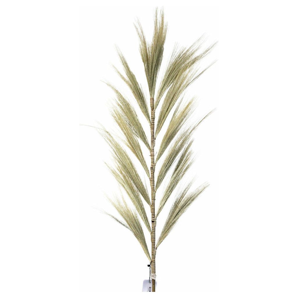 Emmy Jane Boutique Rayung Pampas Natural Dried Grass Decor - Pack Of 3 - 2 Sizes 6 Colours