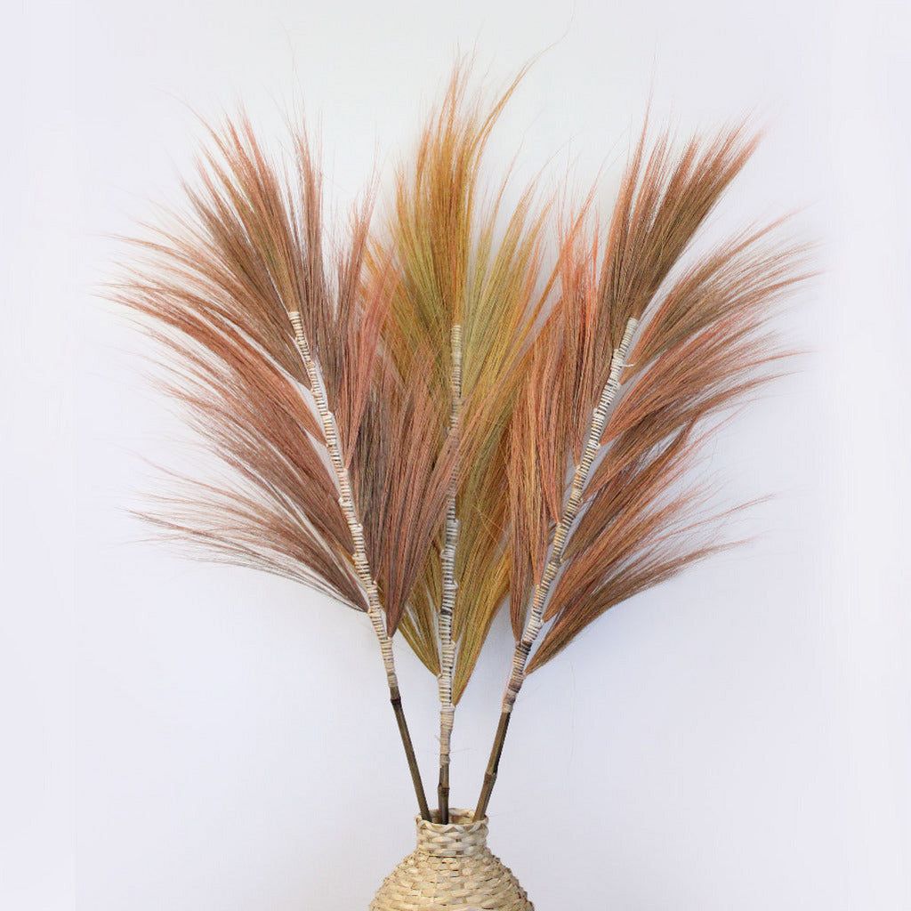 Emmy Jane Boutique Rayung Pampas Natural Dried Grass Decor - Pack Of 3 - 2 Sizes 6 Colours