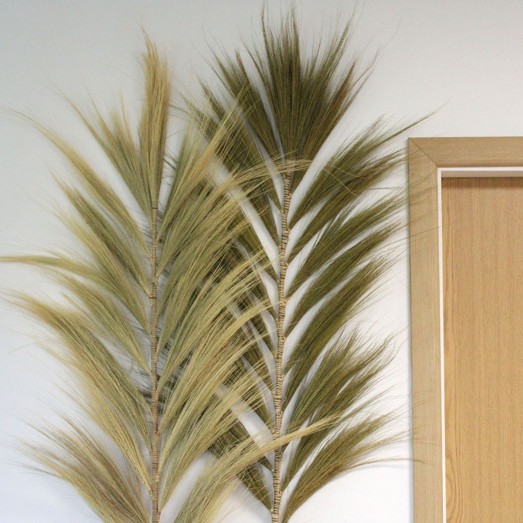 Emmy Jane Boutique Rayung Pampas Natural Dried Grass Decor - Pack Of 3 - 2 Sizes 6 Colours