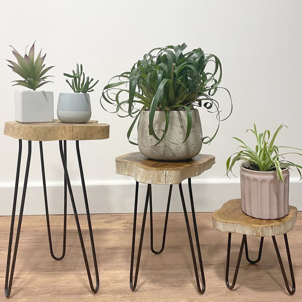 Emmy Jane Boutique Wooden Plant Stands - Indonesian Table Set - Natural Home Decor - 3 Colours