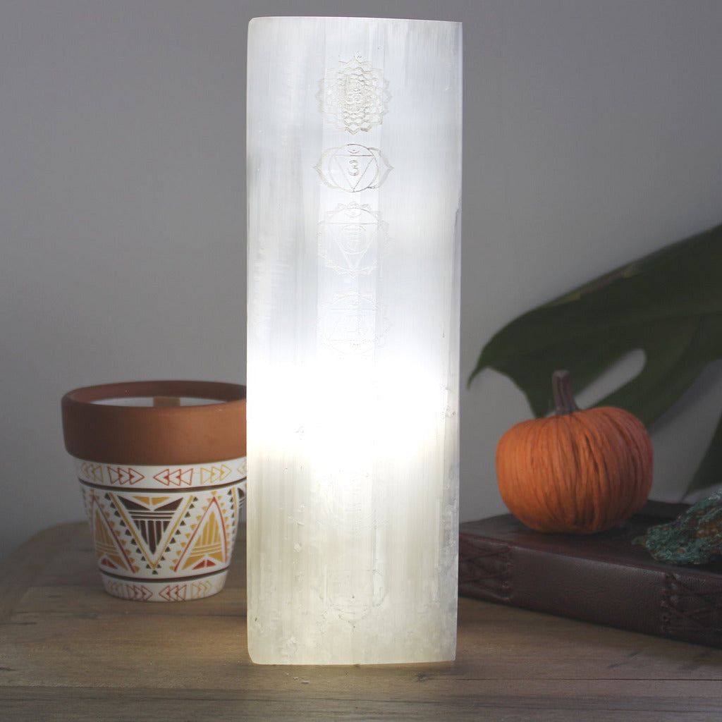 Emmy Jane Boutique Natural Selenite Stone Block Lamp - Tree of Life or Chakra - Fairly Traded