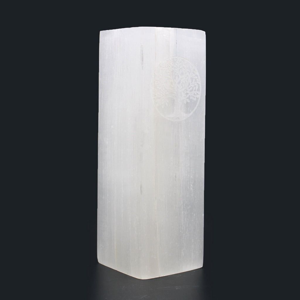 Emmy Jane Boutique Natural Selenite Stone Block Lamp - Tree of Life or Chakra - Fairly Traded