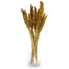 Emmy Jane Boutique Cantal Sustainable Dried Grass Bunches - 4 Colours - Pack of 6 Bunches