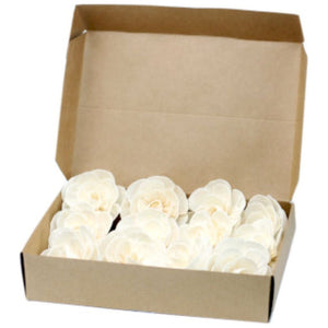 Emmy Jane Boutique Natural Diffuser Flowers - Handmade from Sola Wood - Pack of 12