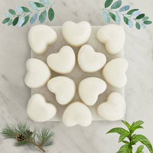 Emmy Jane Boutique Gloriously Good - Gift Set of 12 Wax Melts - Peppermint Eucalyptus & Pine