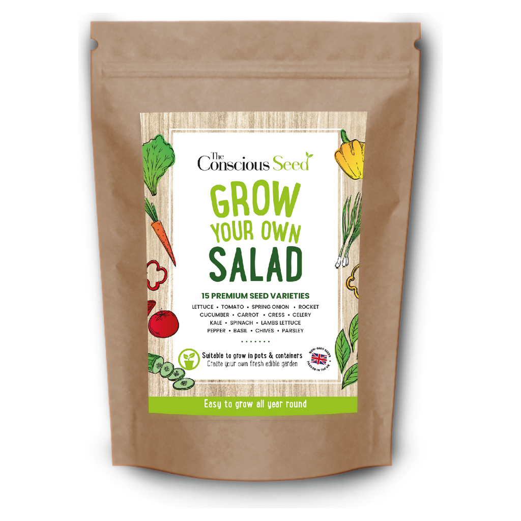 Emmy Jane Boutique Eco-Friendly Salad Seed Kit - Non GMO Plastic-Free - 15 Premium Seed Varieties