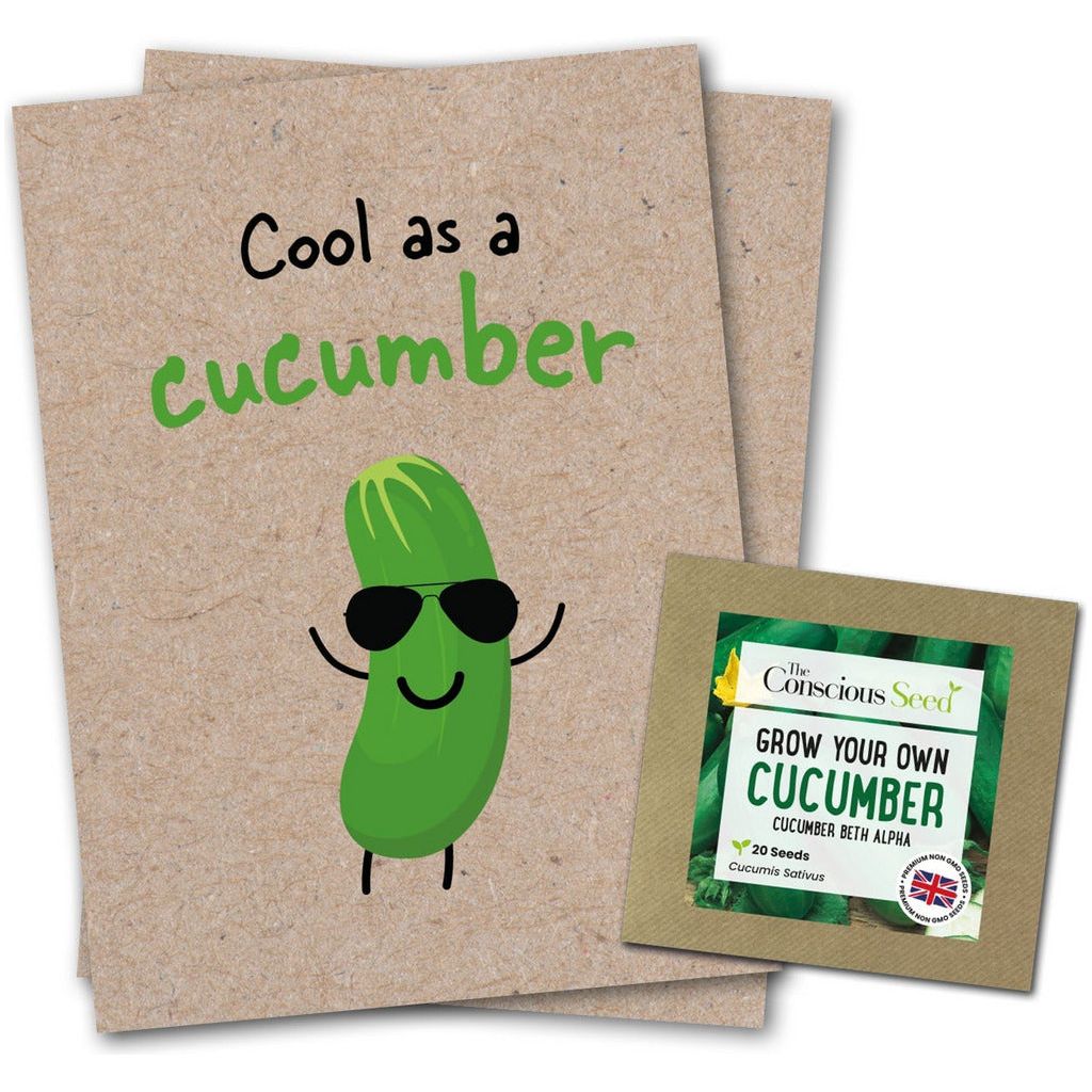 Emmy Jane Boutique Sustainable Greetings Cards - Cool As A Cucumber - Eco Kraft Greeting Card