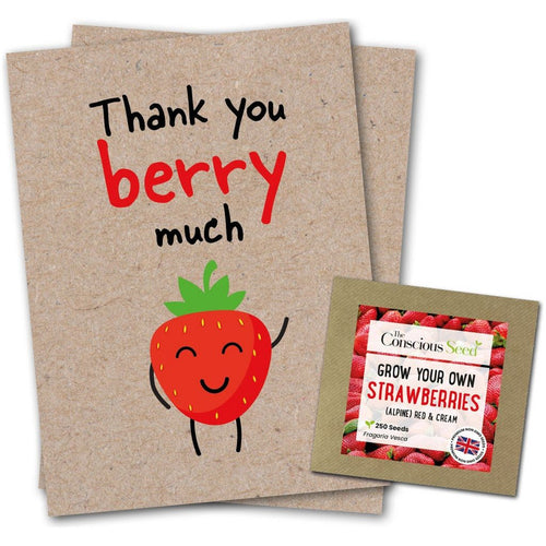 Emmy Jane Boutique Eco-Friendly Cards - Thank You Berry Much - Eco Kraft Sustainable Greeting Card