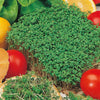 Emmy Jane Boutique Eco-Friendly Salad Seed Kit - Non GMO Plastic-Free - 15 Premium Seed Varieties