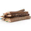 Natural Twig Pencils - Set of 10 - Coloured Wooden Pencils for Kids